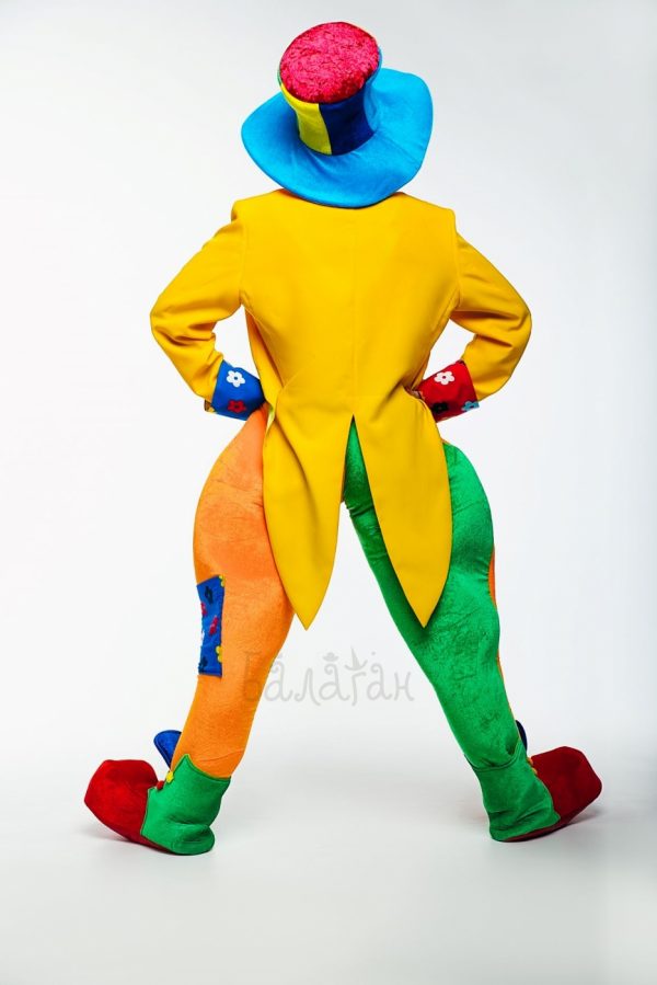 Clown costume