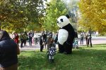 Giant Polar Bear Mascot