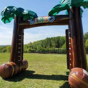 Jeu de Limbo Géant